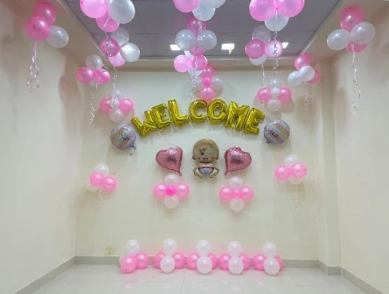 Baby Welcome Decoration Girl Theme
